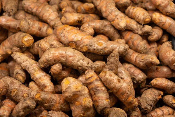 Mucchio di radici fresche di curcuma — Foto Stock