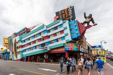 Ripley 'ler ister inanın ister inanmayın Niagara Şelalesi' nde.