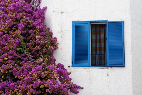 Window, pink flowers on white wall background. — Stock Photo, Image