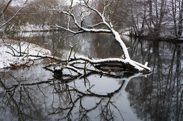 冬の川の風景. — ストック写真