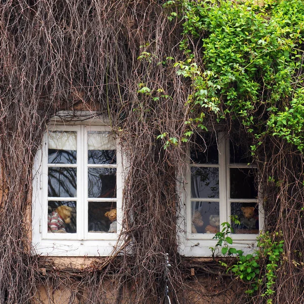 Orsacchiotti nelle finestre della vecchia casa . — Foto Stock