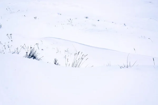 Karla kaplı topraklar ve çimenler. — Stok fotoğraf