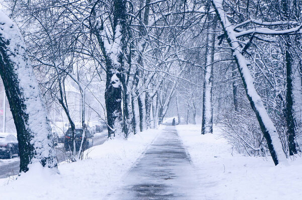 Winter urban scene during snowfall.