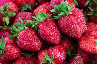 Taze taze sulu kırmızı çilekler.. 