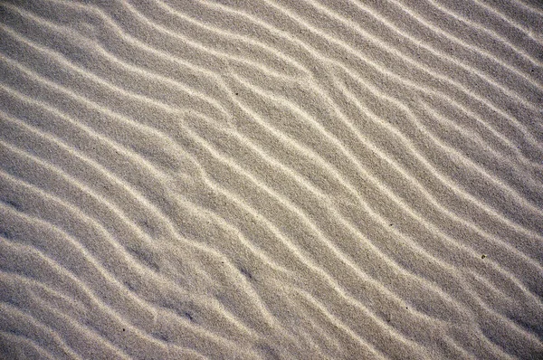 バルト海の砂丘の砂の上の波線パターン — ストック写真