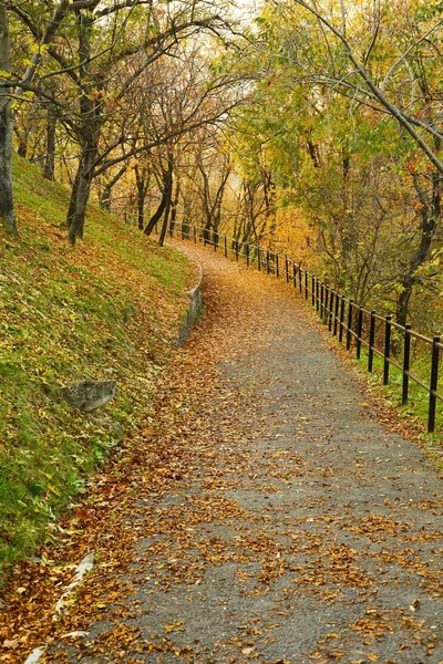 Herbstparkweg — Stockfoto