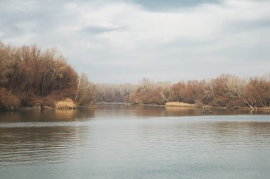 Lakeside sonbahar manzara