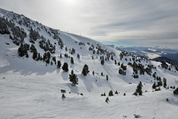 Skiing slopes from the top Stock Image