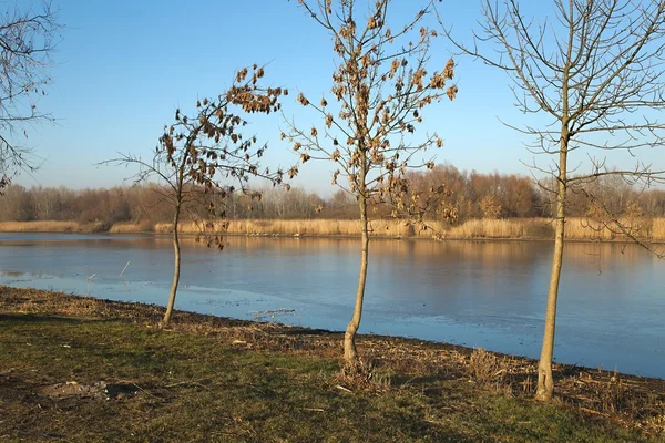 Lakeside sonbahar manzara — Stok fotoğraf