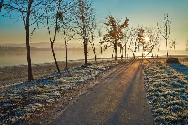 Caminhada de inverno com geada — Fotografia de Stock