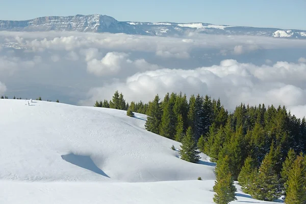 冬の雪に覆われた山 — ストック写真