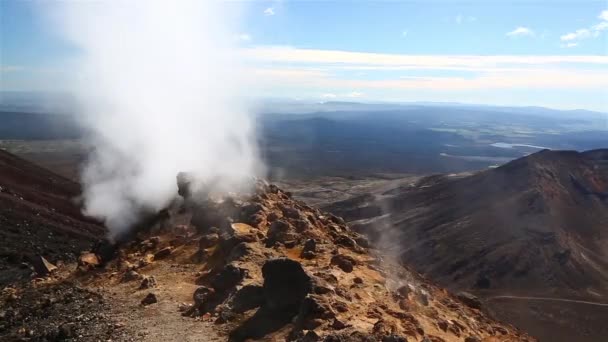 Steam activity in New Zealand — Stock Video