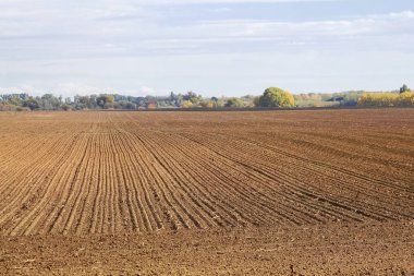 Kahverengi toprak alanıyla Agircutural