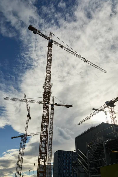 Tall Construction Cranes — Stock Photo, Image