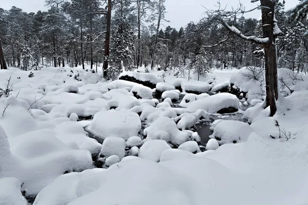 Zimowy śnieżny krajobraz — Zdjęcie stockowe