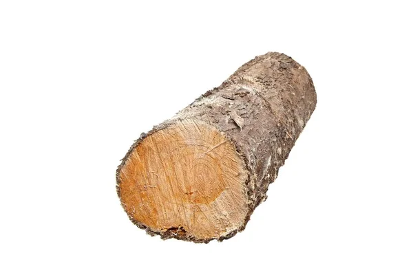 Log wood pile — Stock Photo, Image