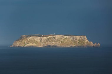 Tasman adayı uzaktan