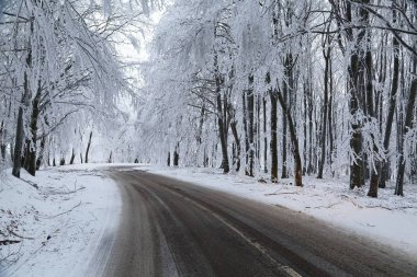 Kış yol açar