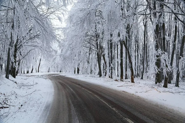 Vinter väg vänder — Stockfoto