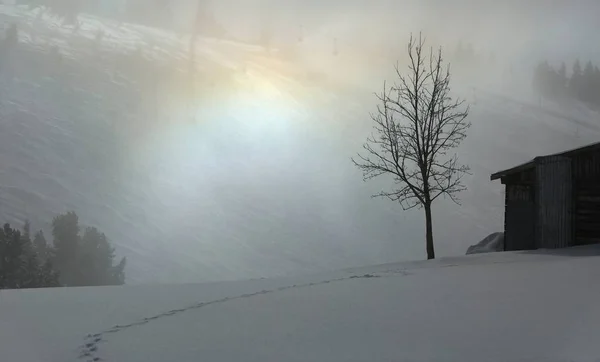 Niebla paisaje de invierno —  Fotos de Stock