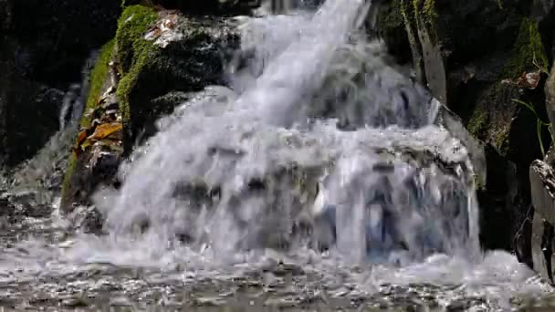 Cascada detalle naturaleza — Vídeo de stock