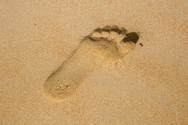 Footsteps in Sand — Stock Photo, Image