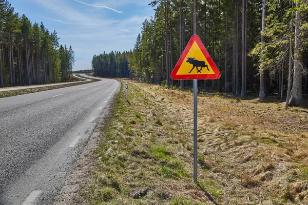 Moose roadsign ve Švédsku — Stock fotografie