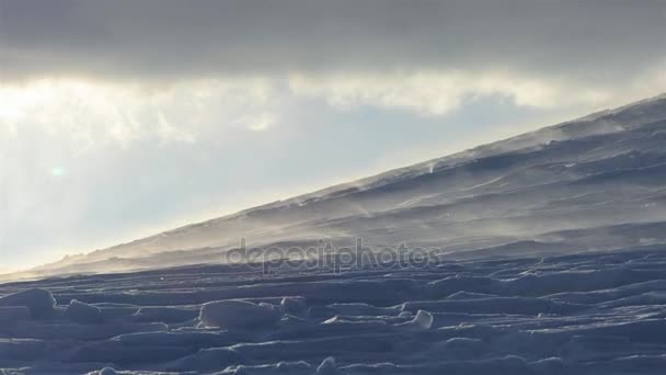 Schneesturm vertreibt Schnee — Stockvideo