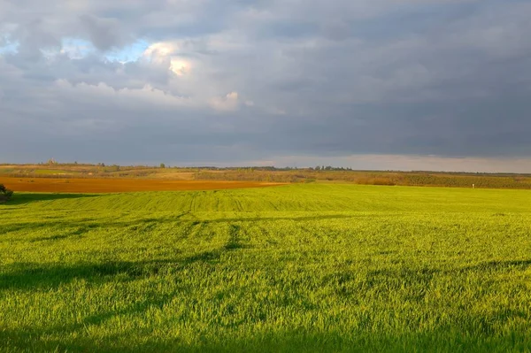 Agircutural landschap met wolken — Stockfoto