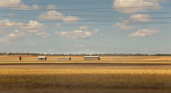 Pole australský zemědělské krajiny — Stock fotografie