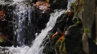 Şelale ayrıntı kaydırma