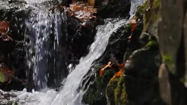 Детали водопада — стоковое видео