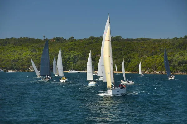 Segelbåt resa — Stockfoto