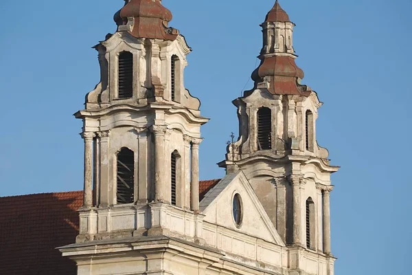 Detailansicht der Kathedrale von Vilnius — Stockfoto