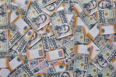 Banknotlar, Macar Forints