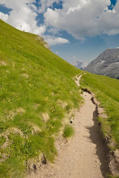 Zomer alpine landschap — Stockfoto