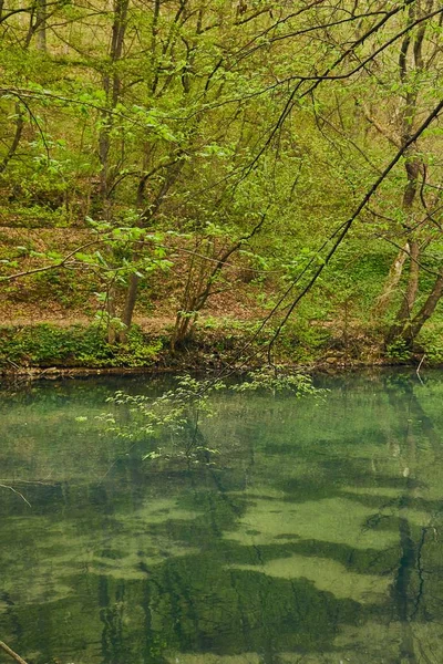 Piccolo lago con alberi — Foto Stock