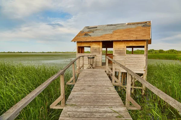 Bataklık yürüyüşü yolu