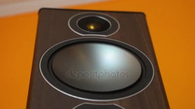 Hi-Fi Loudpeaker membran