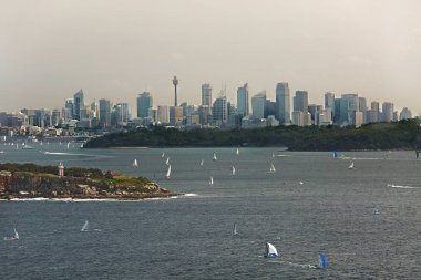 Sydney şehir manzaralı Kuzey tepeden