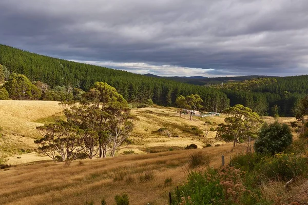 Valle in Tasmania — Foto Stock