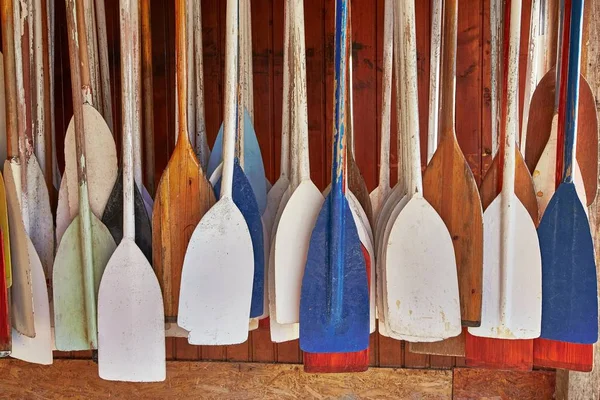 Paddles In Storage — Fotografie, imagine de stoc