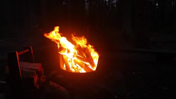 Flammor av öppen spis — Stockvideo