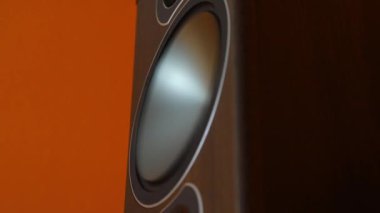 Hi-Fi Loudpeaker membran