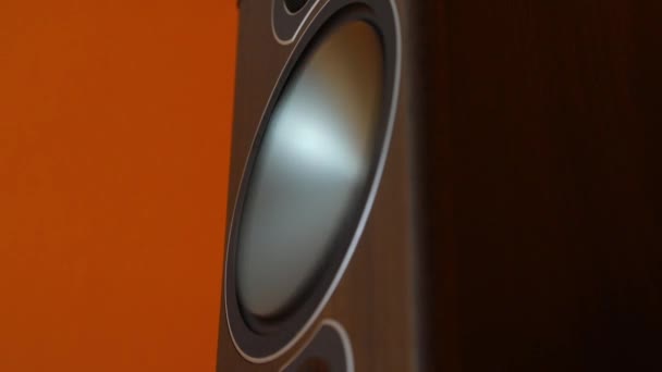 Hi-Fi Loudpeaker membrán — Stock videók