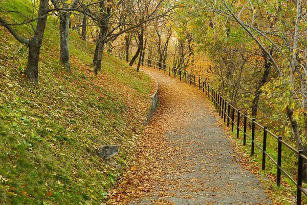 Outono parque caminho — Fotografia de Stock