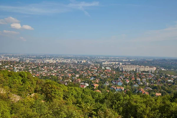 Periferia con vista verde estiva — Foto Stock