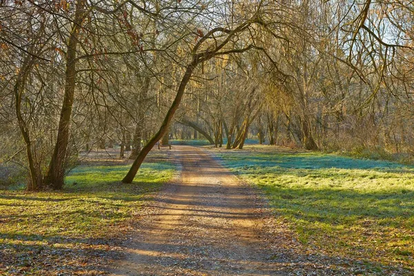 Autumn morning landscape — Stock Photo, Image