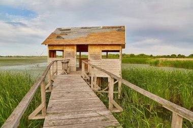 Bataklık yürüyüşü yolu