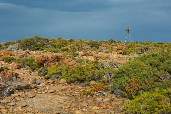 Tasmania'deki / daki manzara — Stok fotoğraf